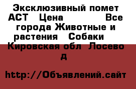 Эксклюзивный помет АСТ › Цена ­ 30 000 - Все города Животные и растения » Собаки   . Кировская обл.,Лосево д.